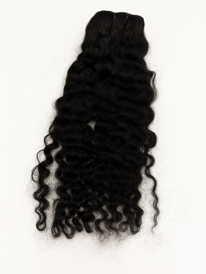 Raw Burmese Curly