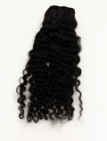 Raw Burmese Curly